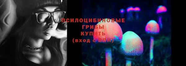 прущий лед Армянск